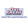 Revitalize-Your-Home-with-Professional-Carpet-Cleaning-in-Marysville